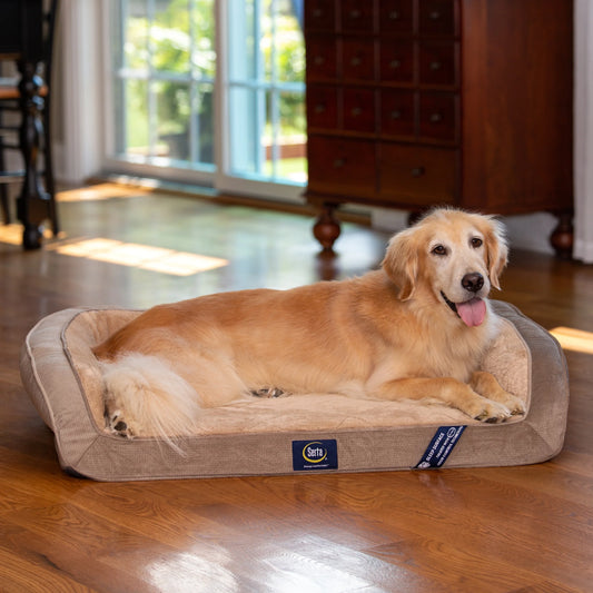 Orthopädisches Hundebett mit Gel-Memory-Schaum & kuscheligem Rand – Für kleine Hunde (Braun)